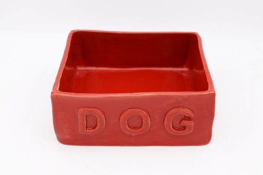 Dish for your dog.